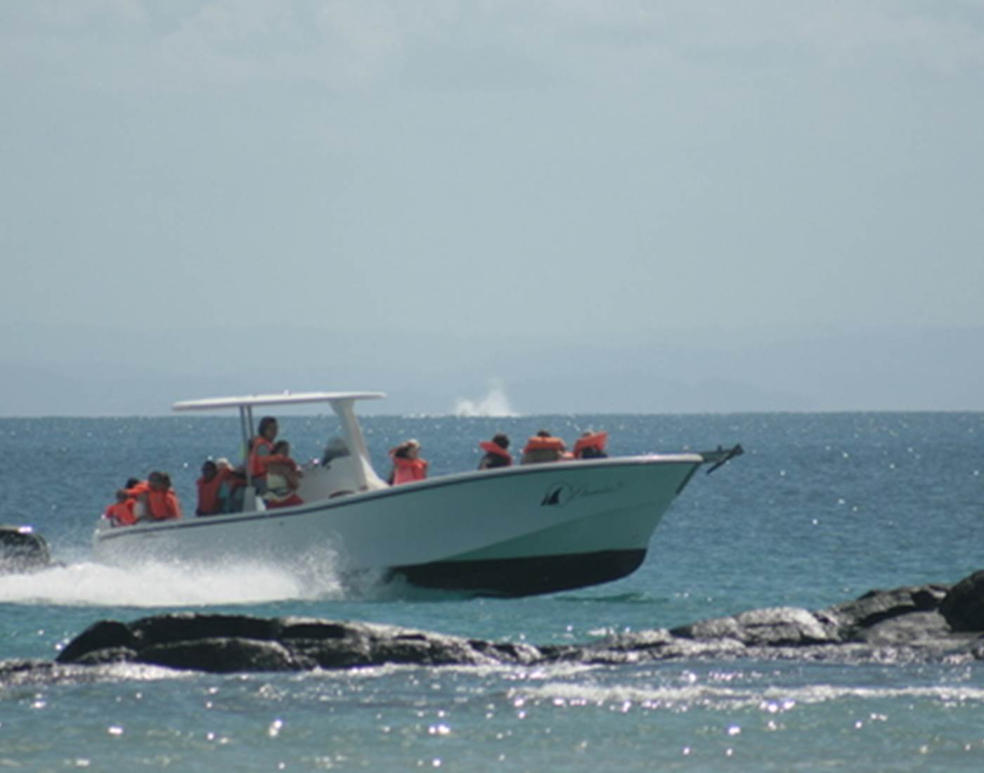 Départ excursion baleines