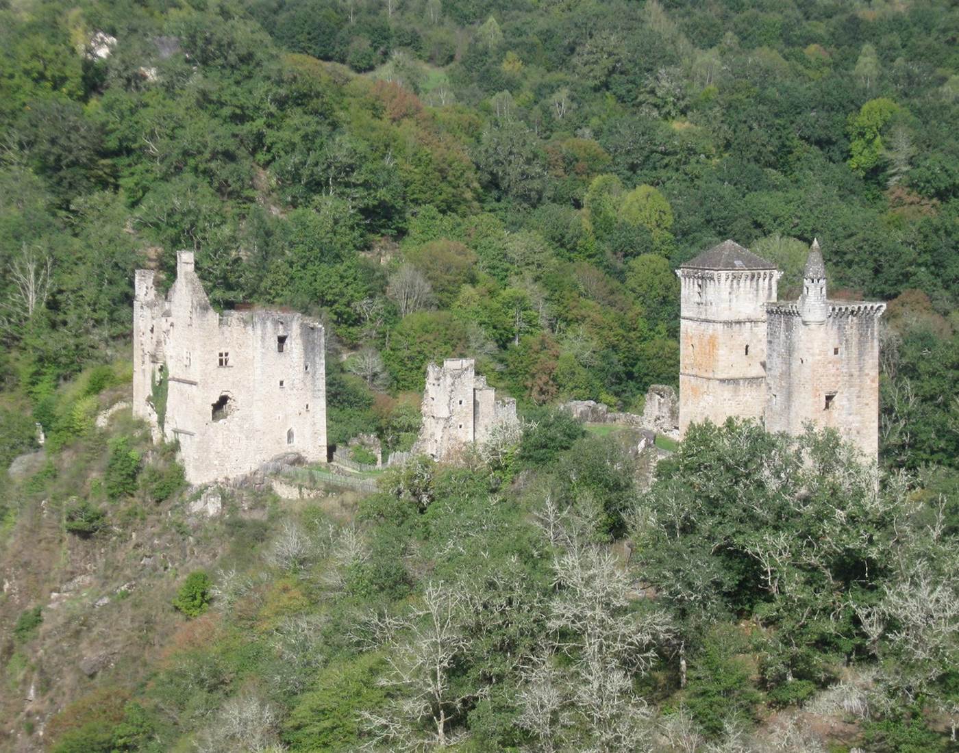 Xaintrie_les_tours_de_merle