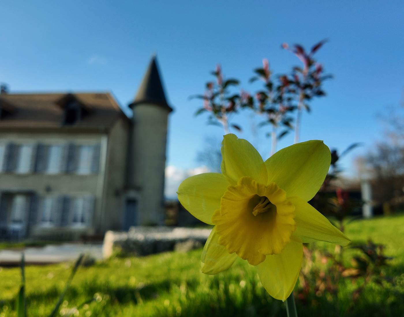 WE ensoleillé au Manoir du Colombier