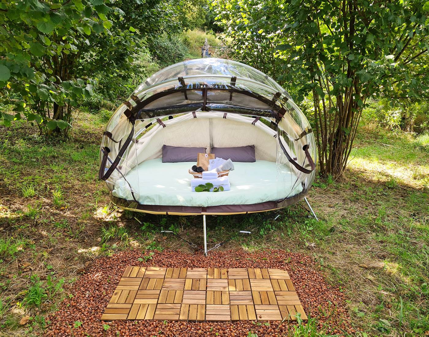 Cocon écureuil vue avant