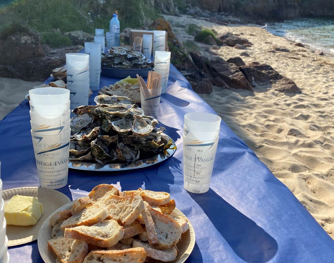 dégustation d'huîtres