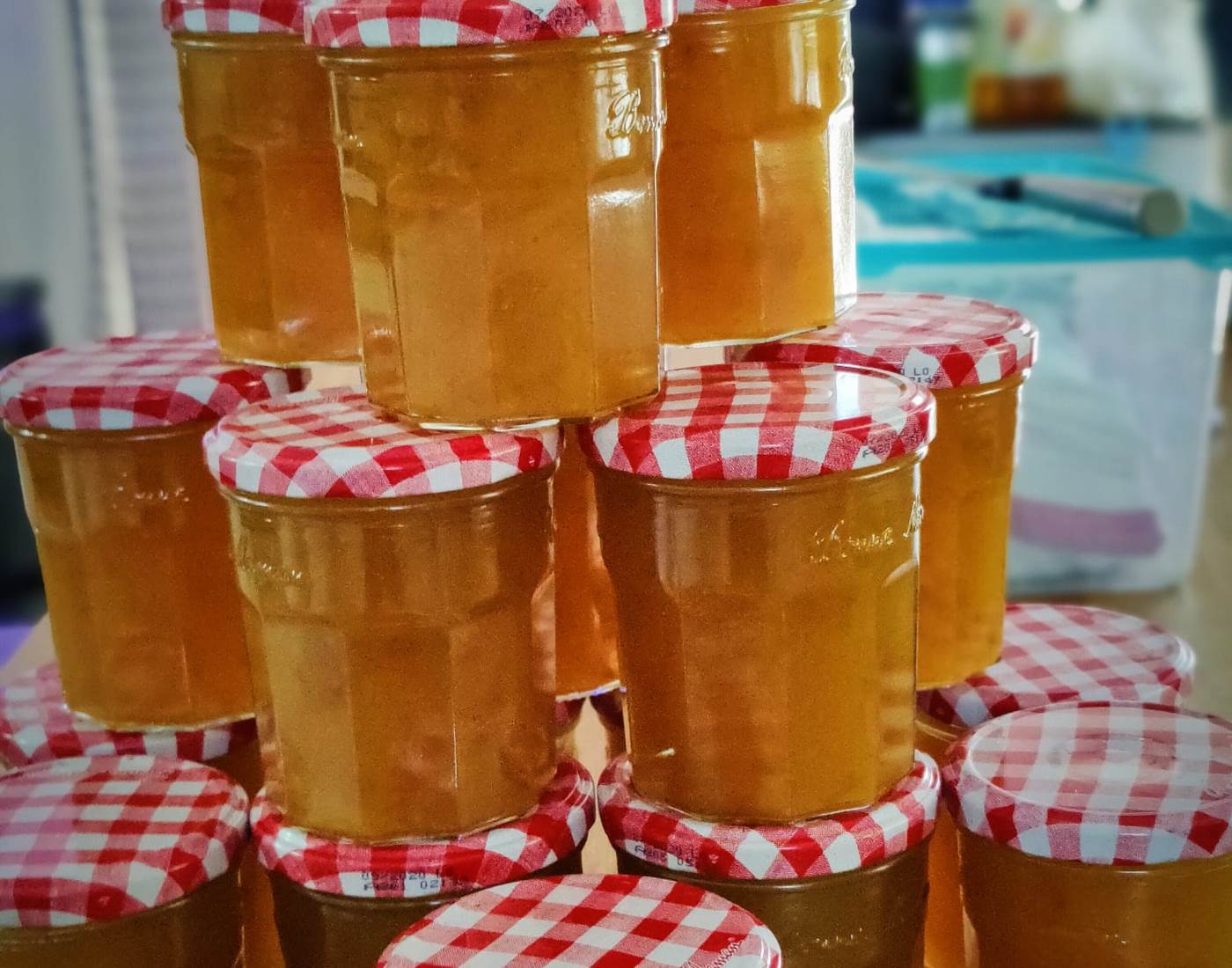 Gîtes, chambre d'hôtes et table d'hôtes gastronomique à Casteljaloux Lot et Garonne, piscine, jacuzzi et spa