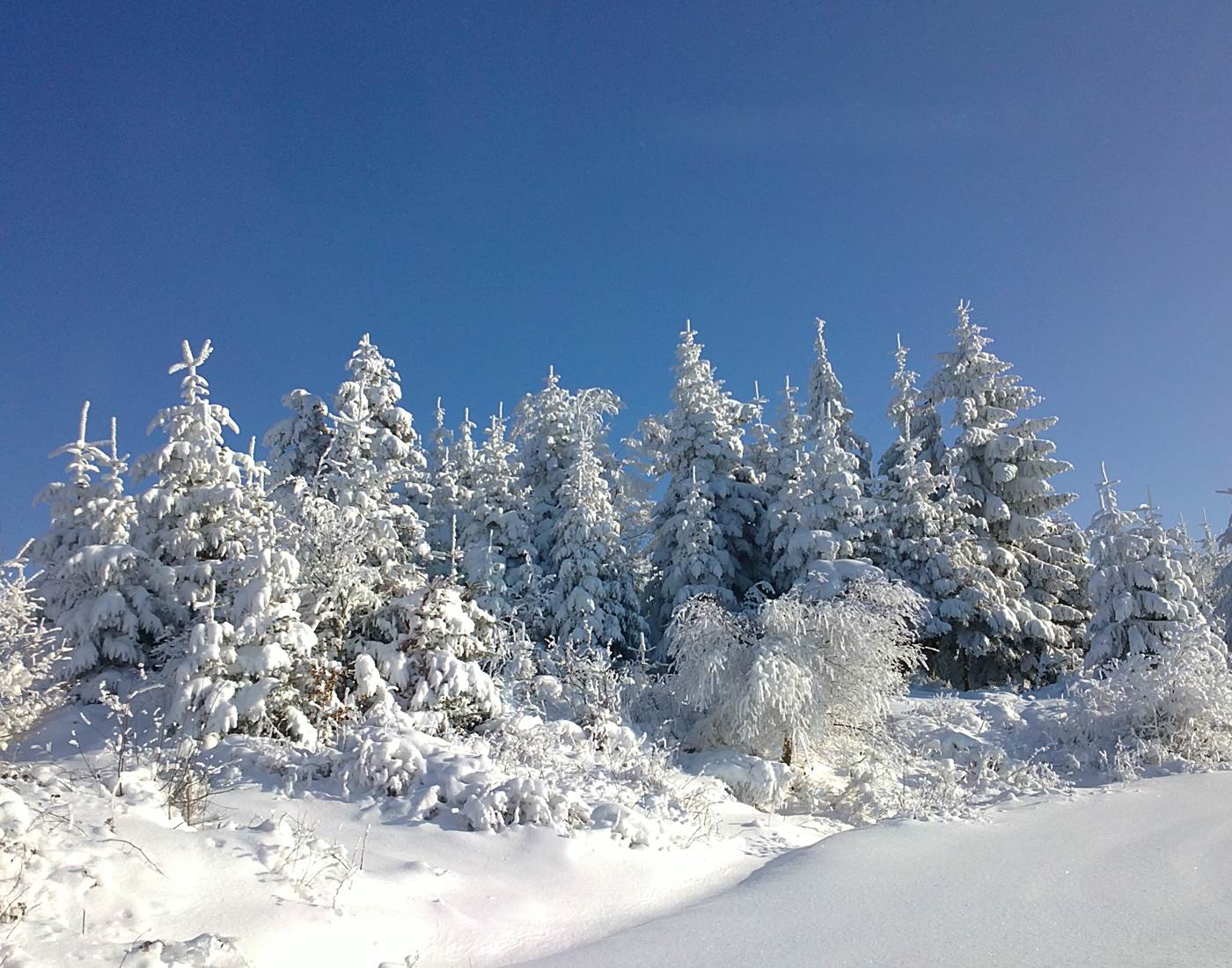 La petite Norvège !