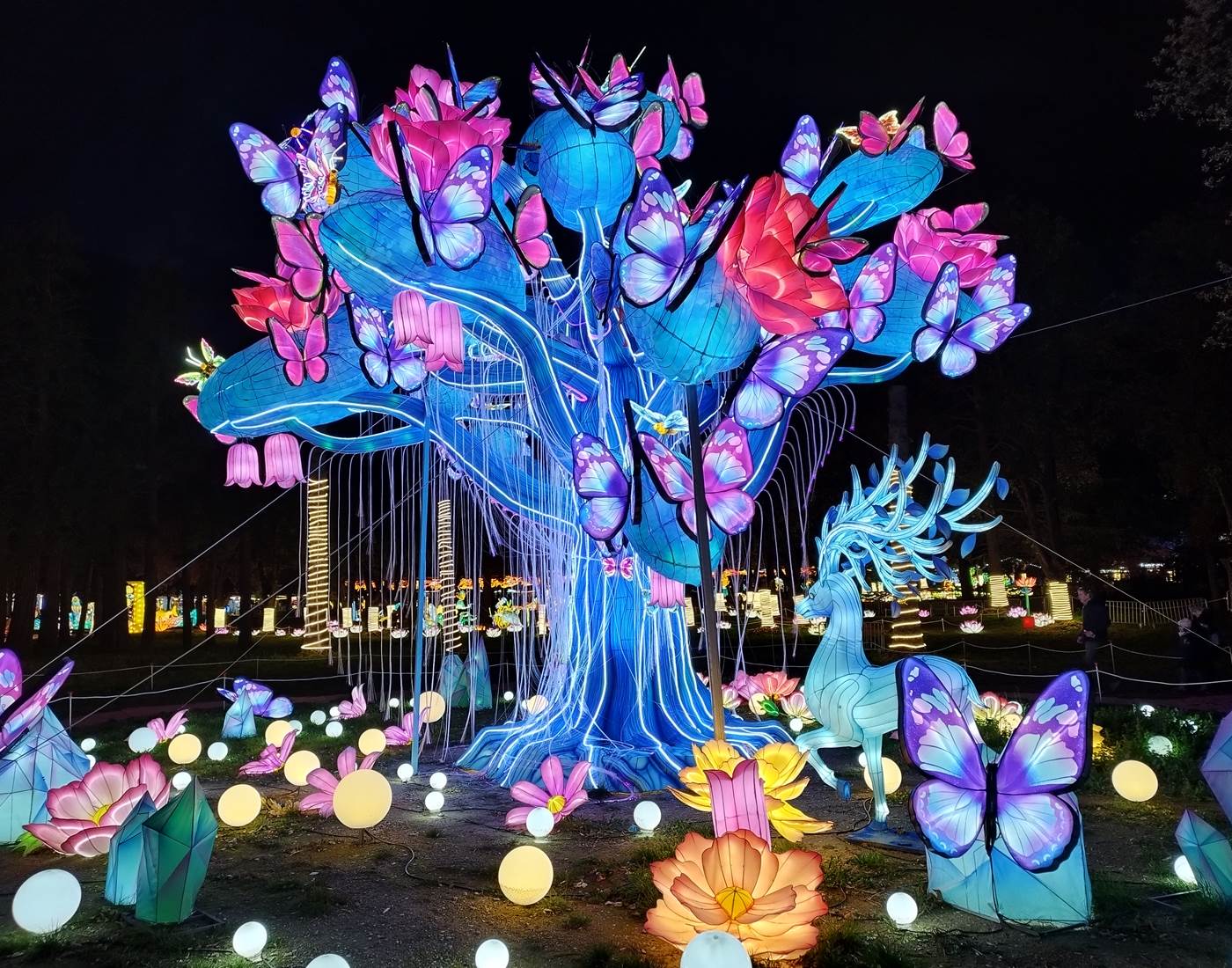 Les Splendeurs de Chine à Céret