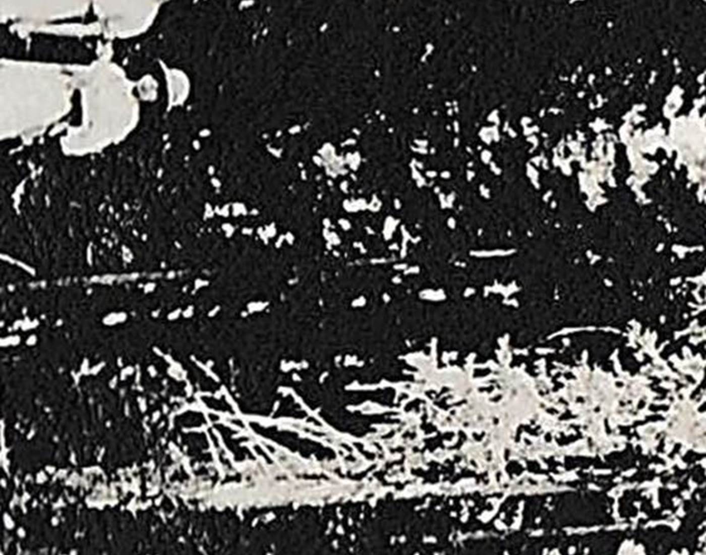 Photo ancienne de personnes dans la forêt