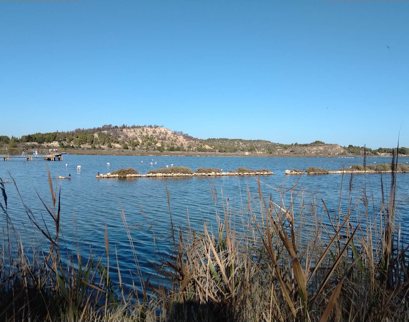Etang de Peyriac de Mer