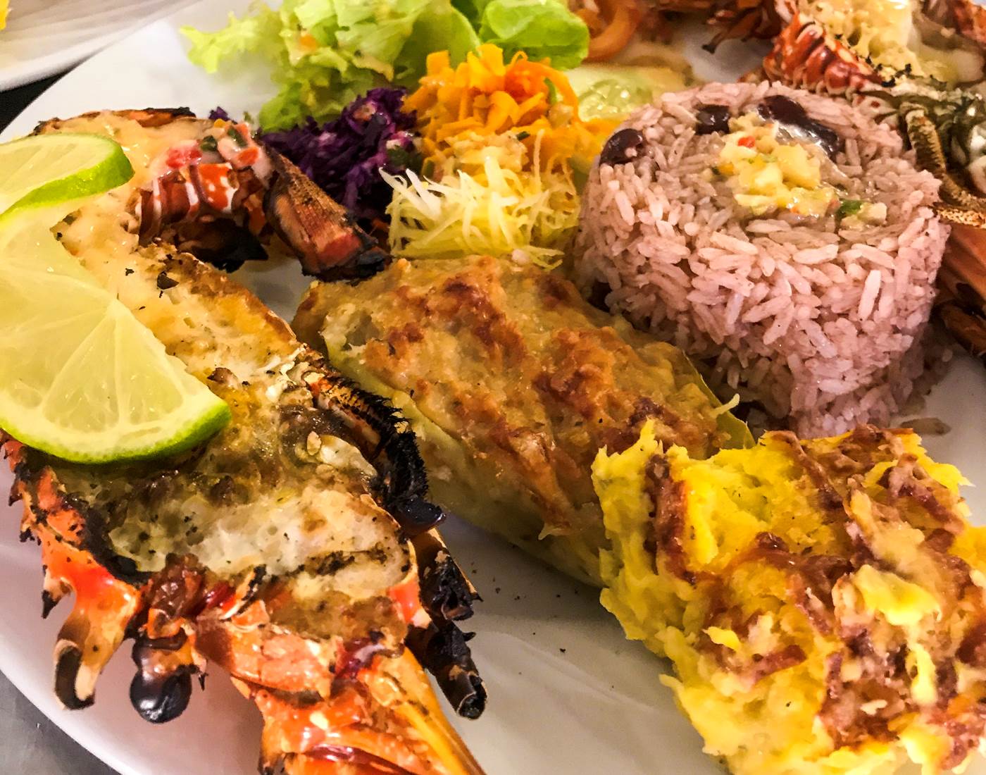 Langouste grillée Desirade