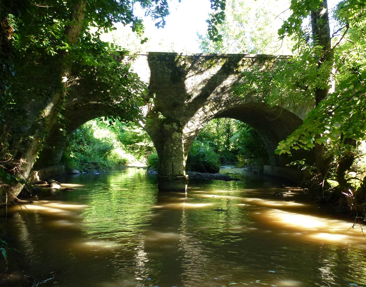 Entendre l'eau d'une rivière, ses bienfaits sur notre cerveau-page