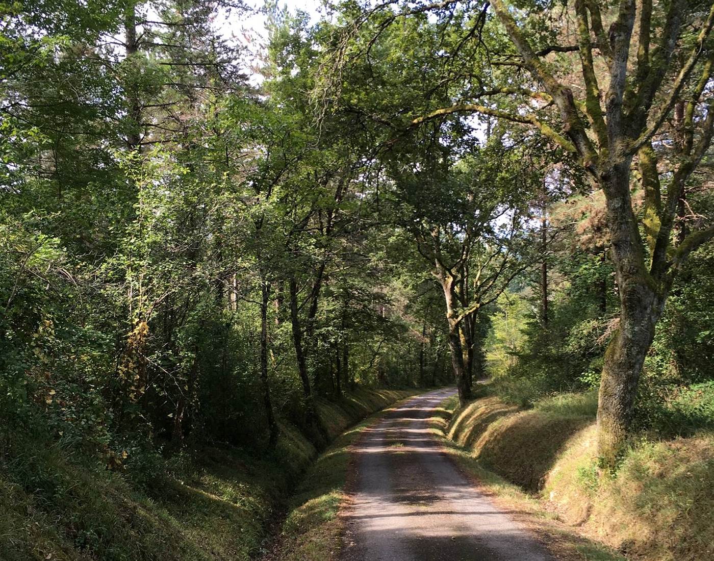Au bout du chemin ... le bonheur.