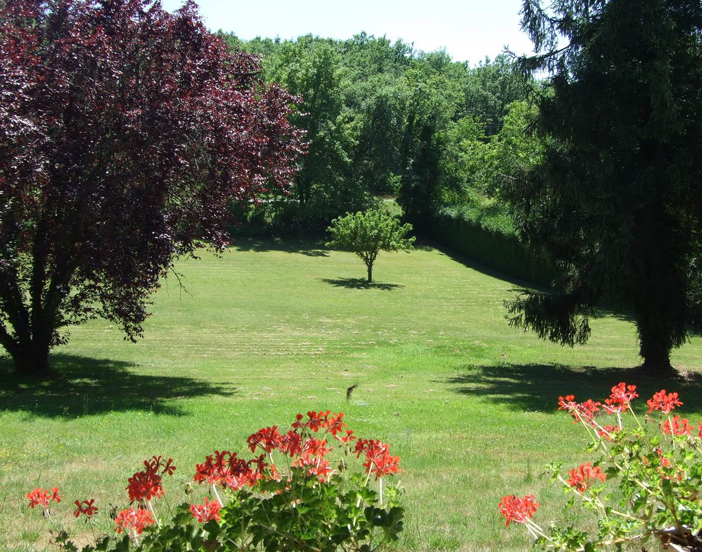 parc maison d'hôtes feuillantines dordogne-page