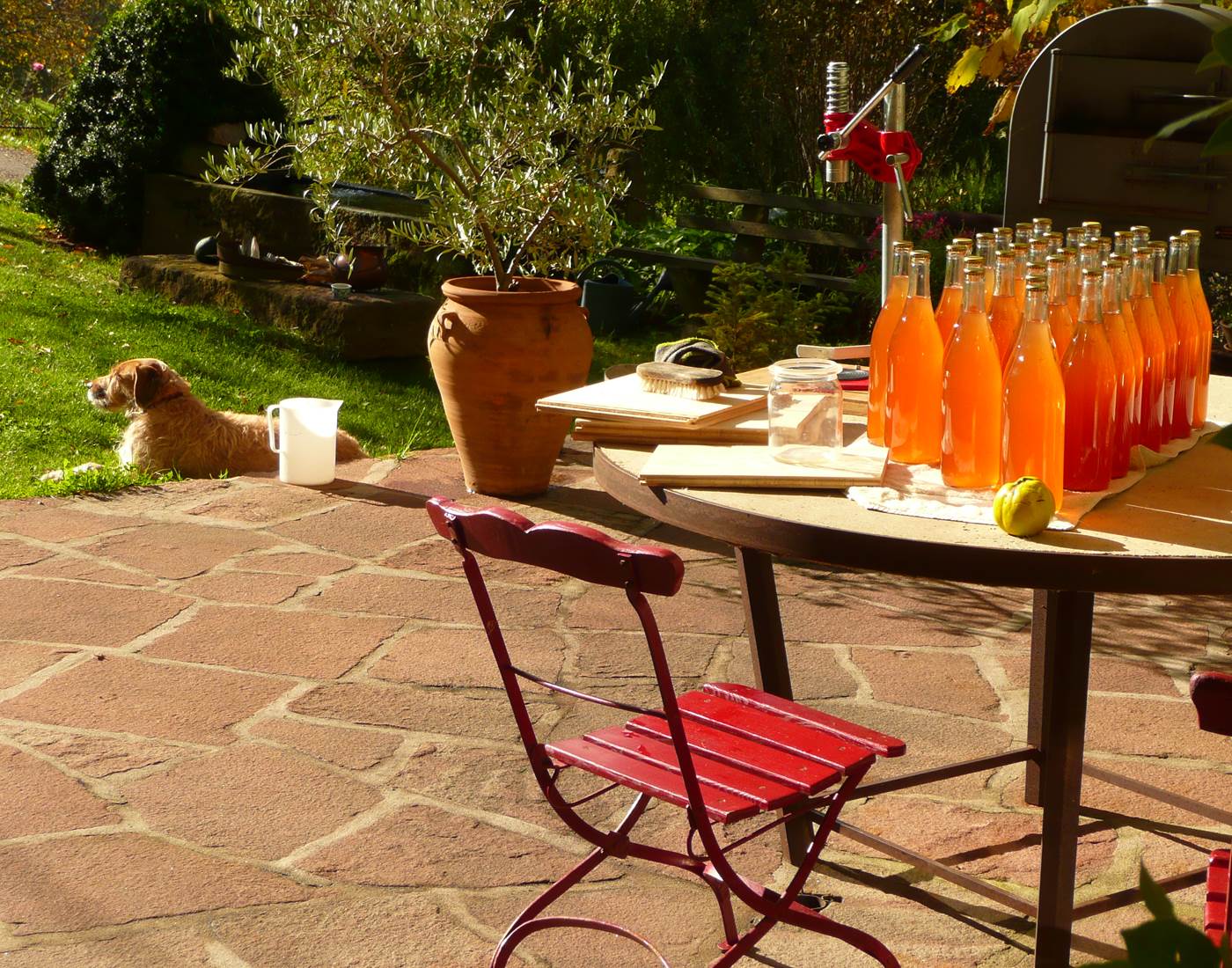 Jus de pomme bio maison