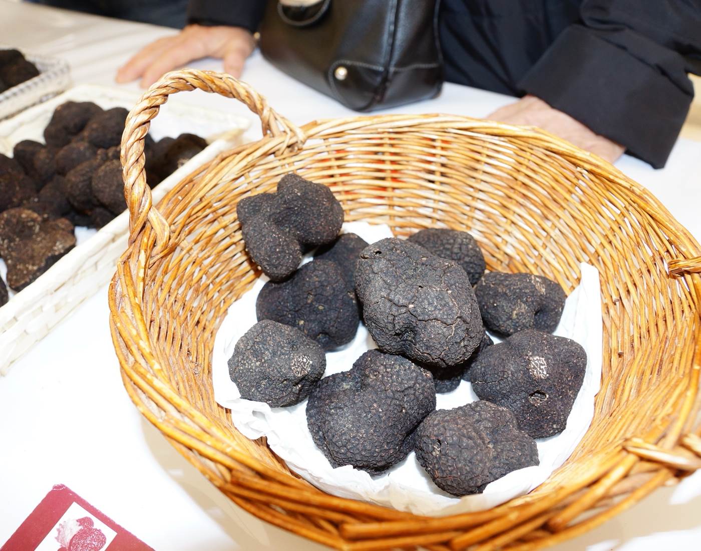 Truffes- Périgord-tuber-mélanosporum