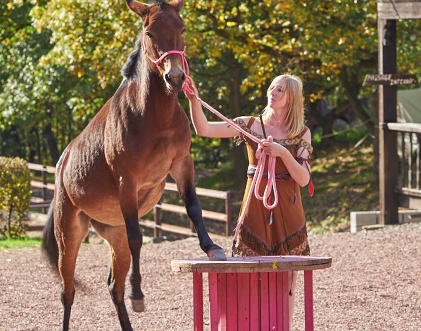 Fin de saison 2019 - 42