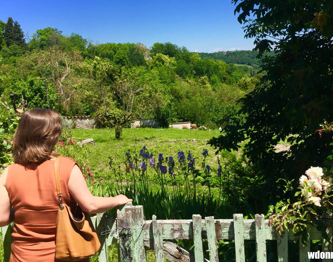 SUR LA ROUTE - Campagne tarn-et-garonnaise, près de Montpezat-de-Quercy...