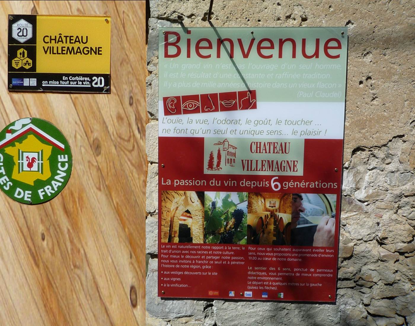 Venez découvrir nos vins et nos activités