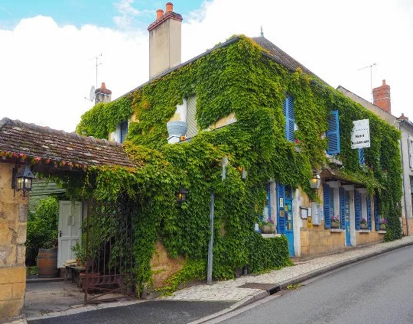 Le Laurier à Saint Satur