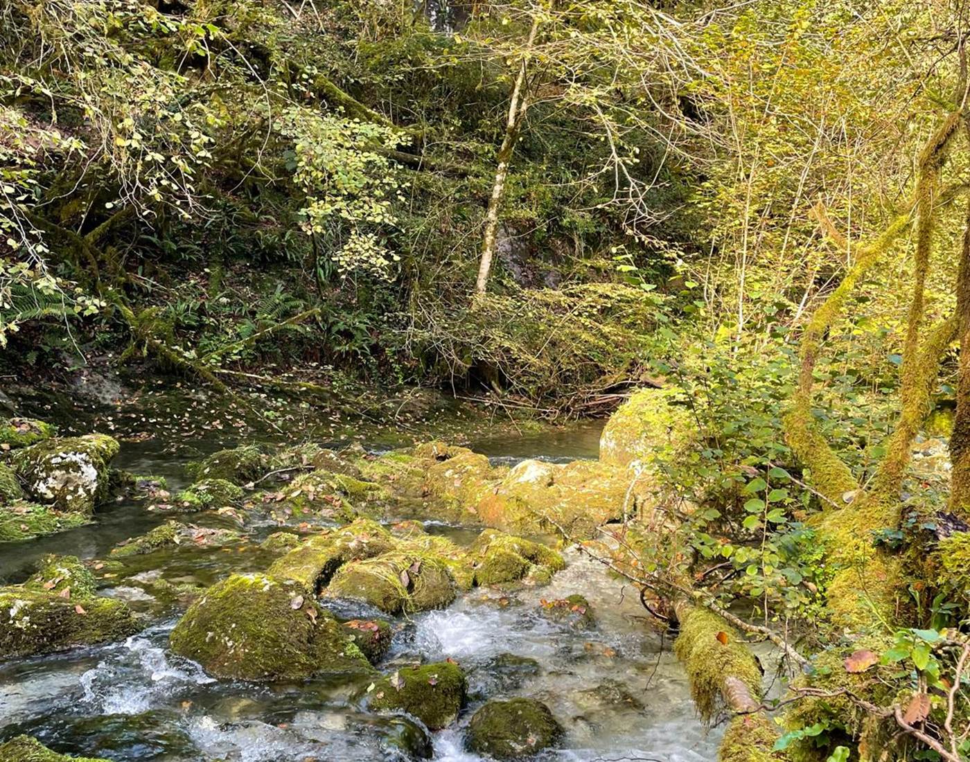 La Gourgue d'Asque-news