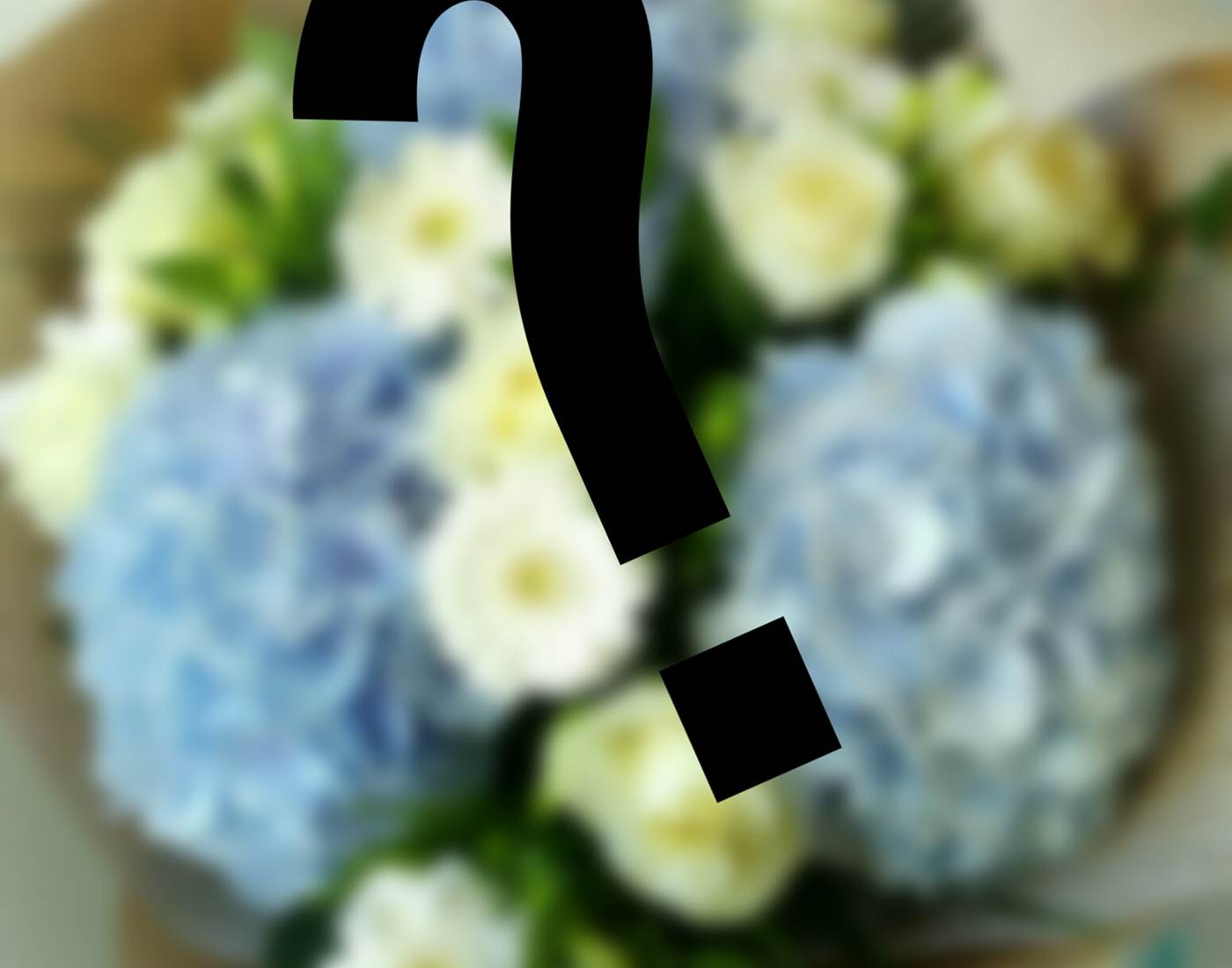 Bulle de Fleurs- Bouquet surprise =  30€