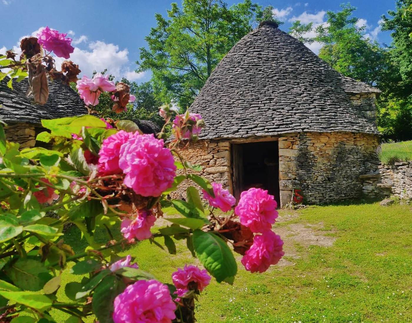 FB_IMG_1553950324128