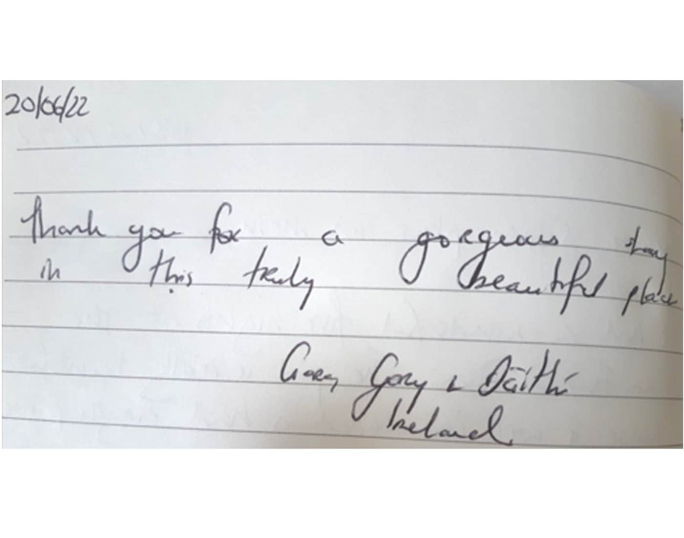 Avis Domaine des Cyclamens 2022