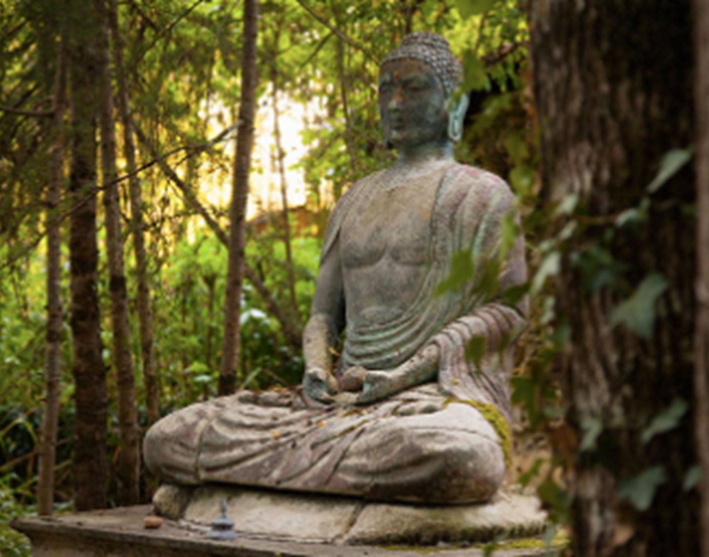 Méditation pleine conscience