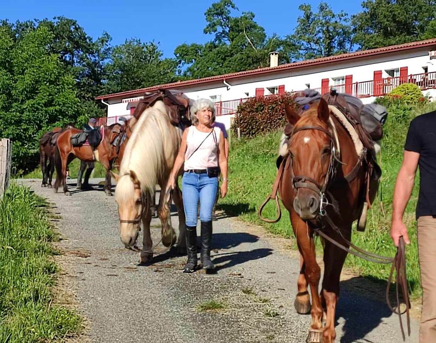 Compostelle Equestre Cavaliers-news