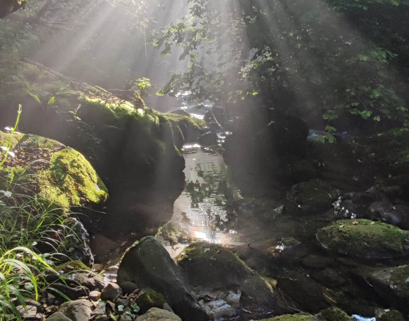 Gîte Ainerak, Pays Basque, Pyrénées, Soule, Kakouetta, La Verna, Sainte Engrâce, la Pierre St Martin