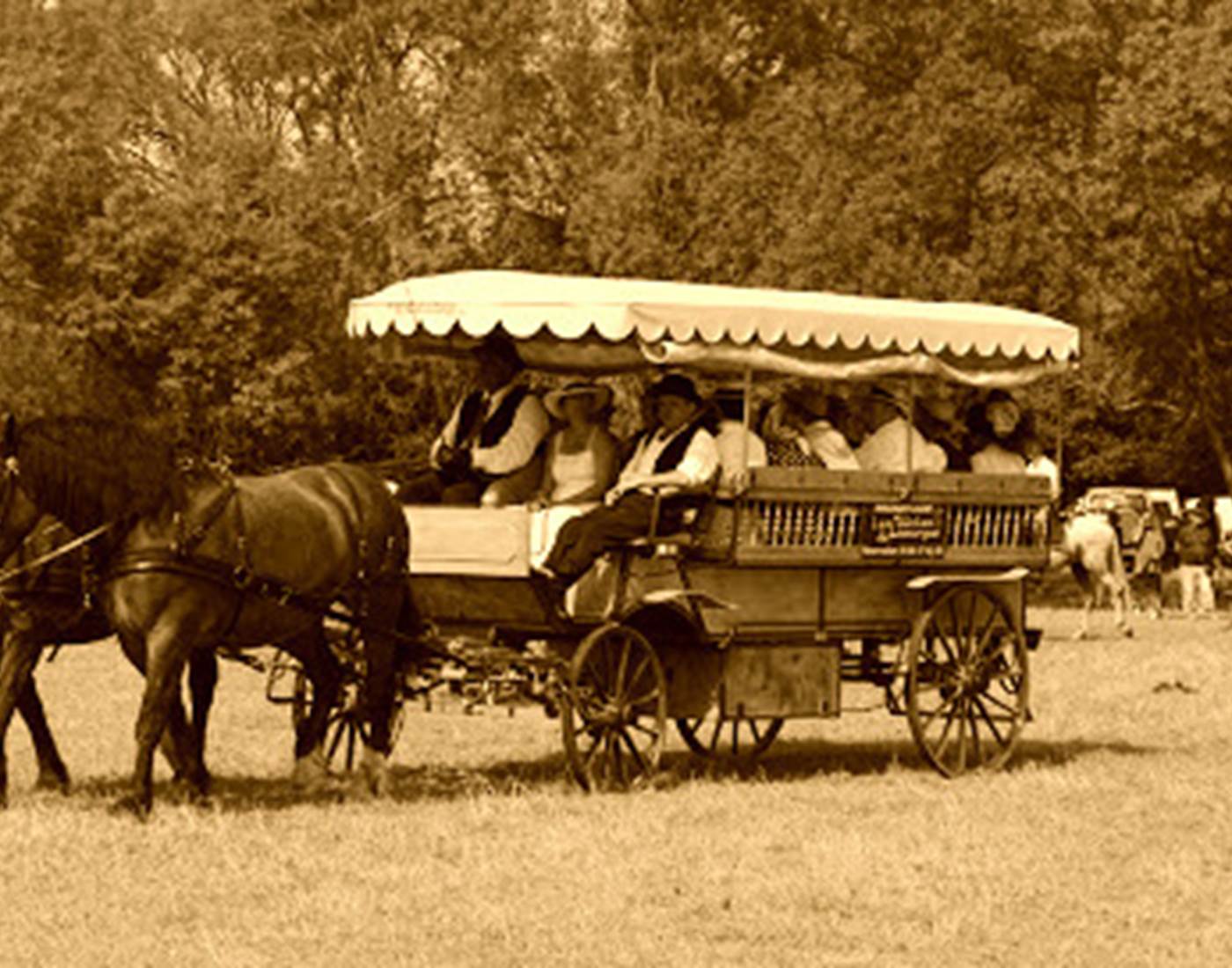 les calèches de Camargue au Cailar