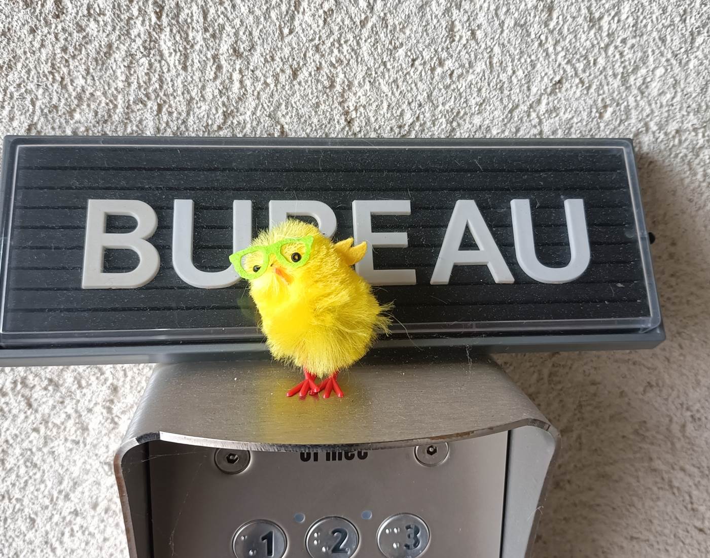 Villa Buffon Angers Pâques