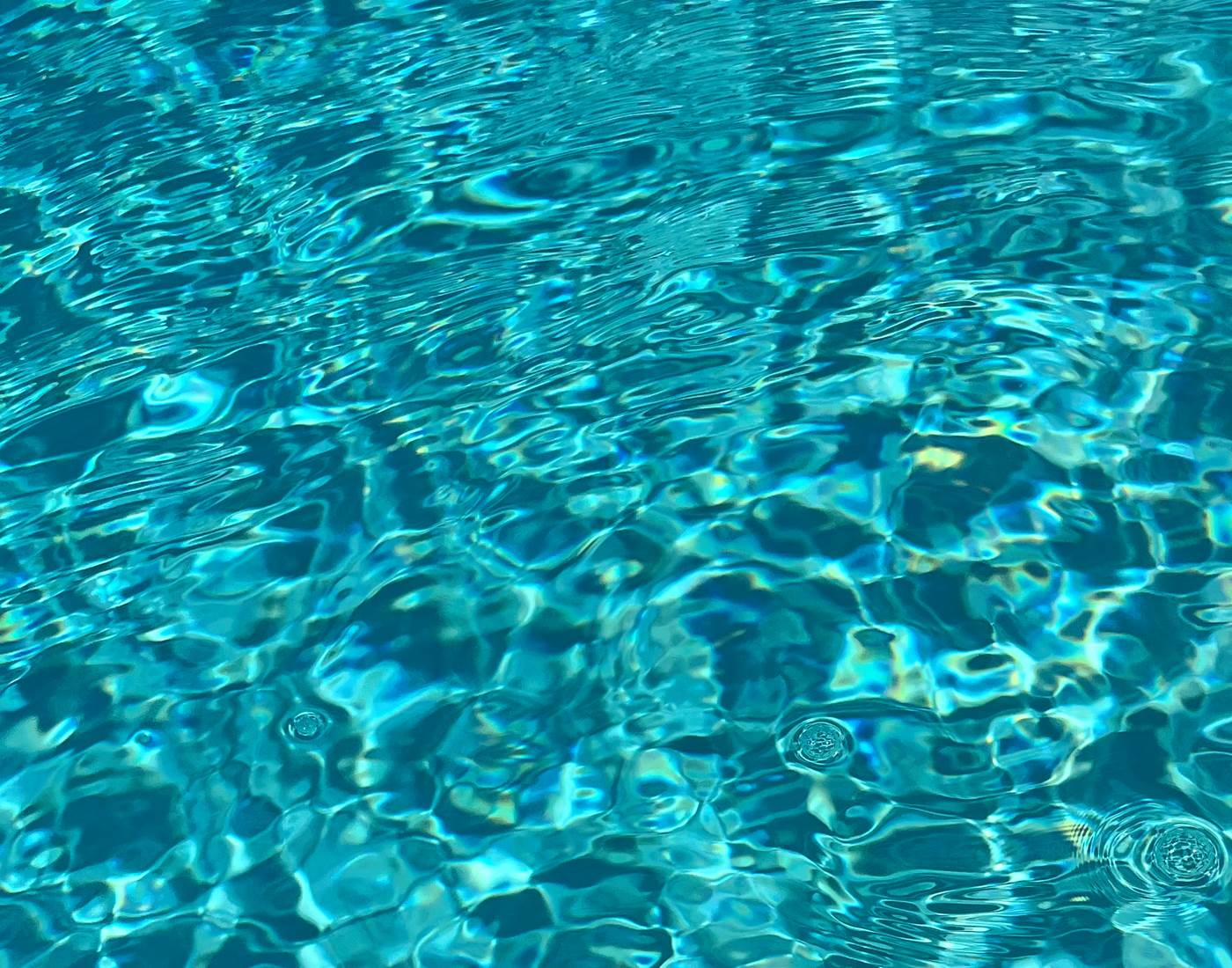 Les pieds dans l'eau au Cellier Des Amis