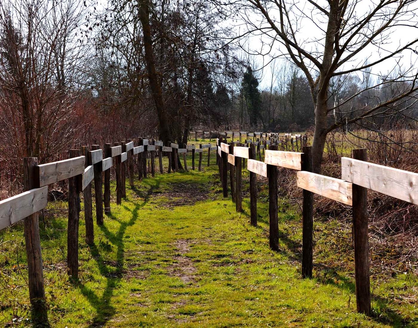 Espace Naturel Sensible de la Prairie du Puiseaux et du Vernisson (20 minutes à pied)