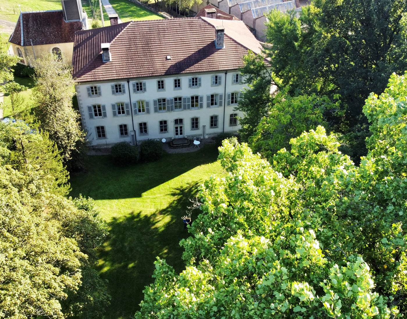Le parc du Château avec ses arbres remarquables