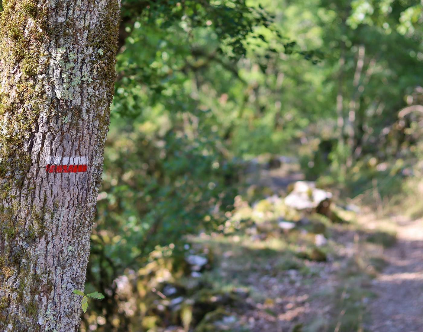 Sur le GR Lot Tourisme- C