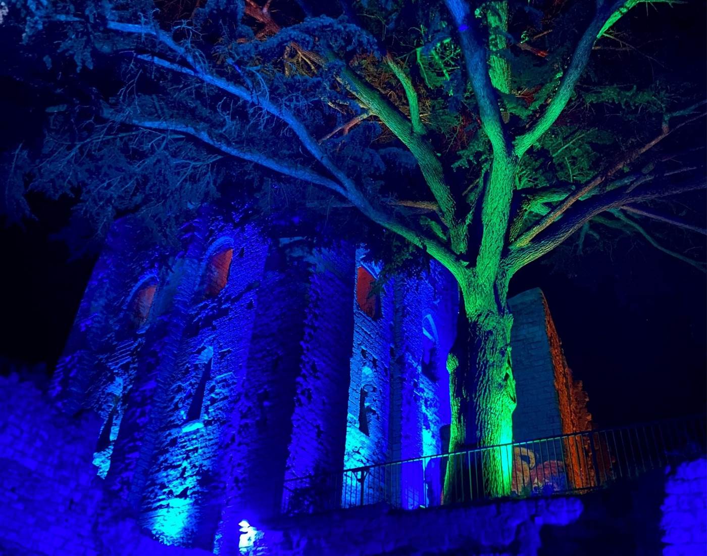 DONJON de MONTRICHARD