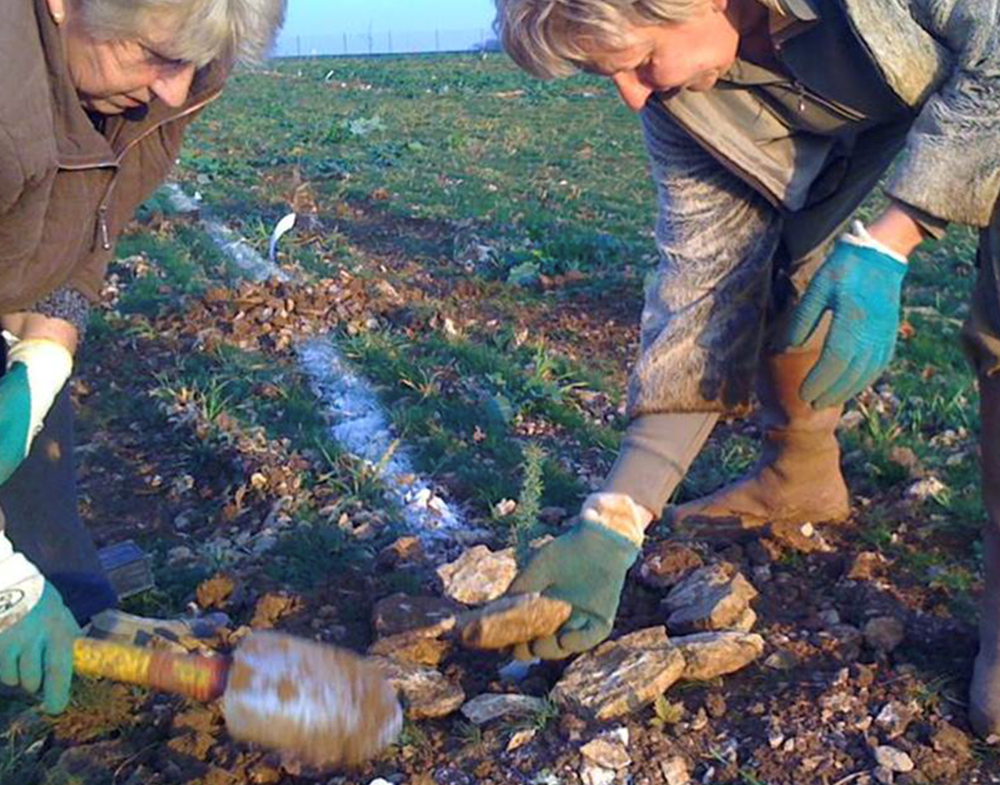 Isabelle et sa maman, plantation de la truffière