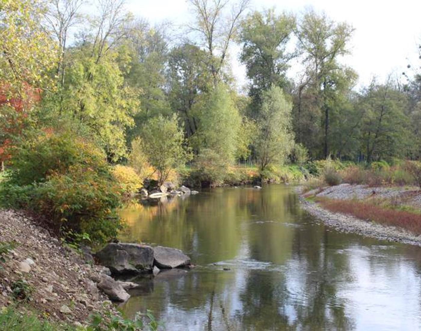 49 Piémont oloronais handi