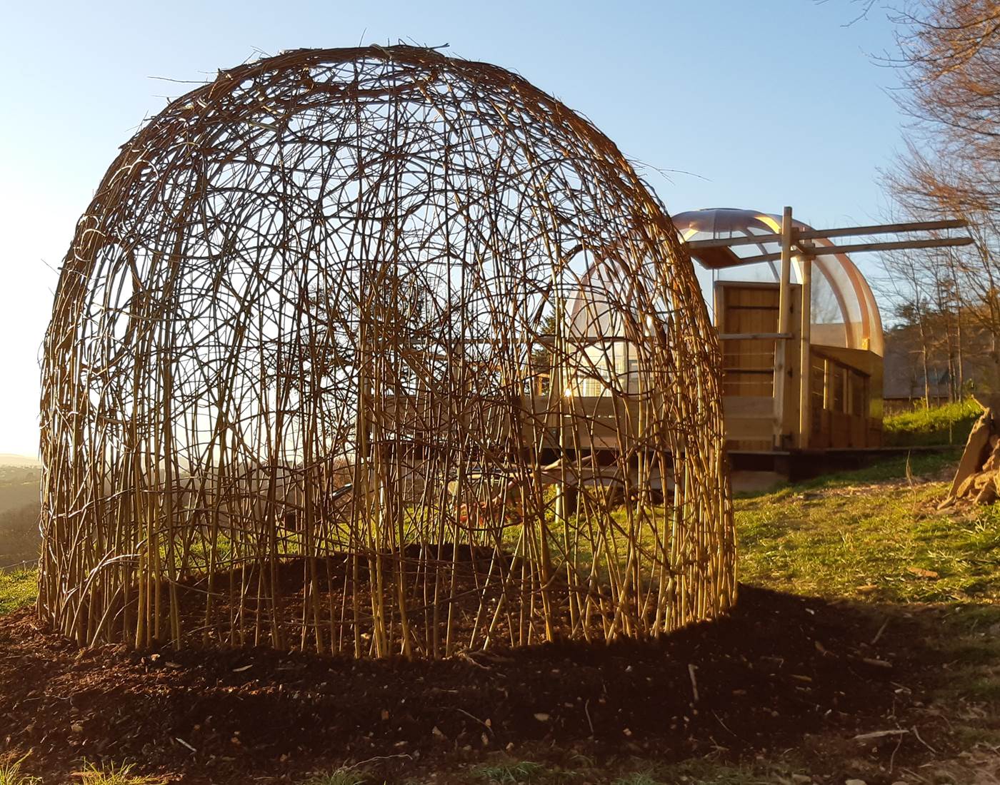 Gloriette en osier vivant