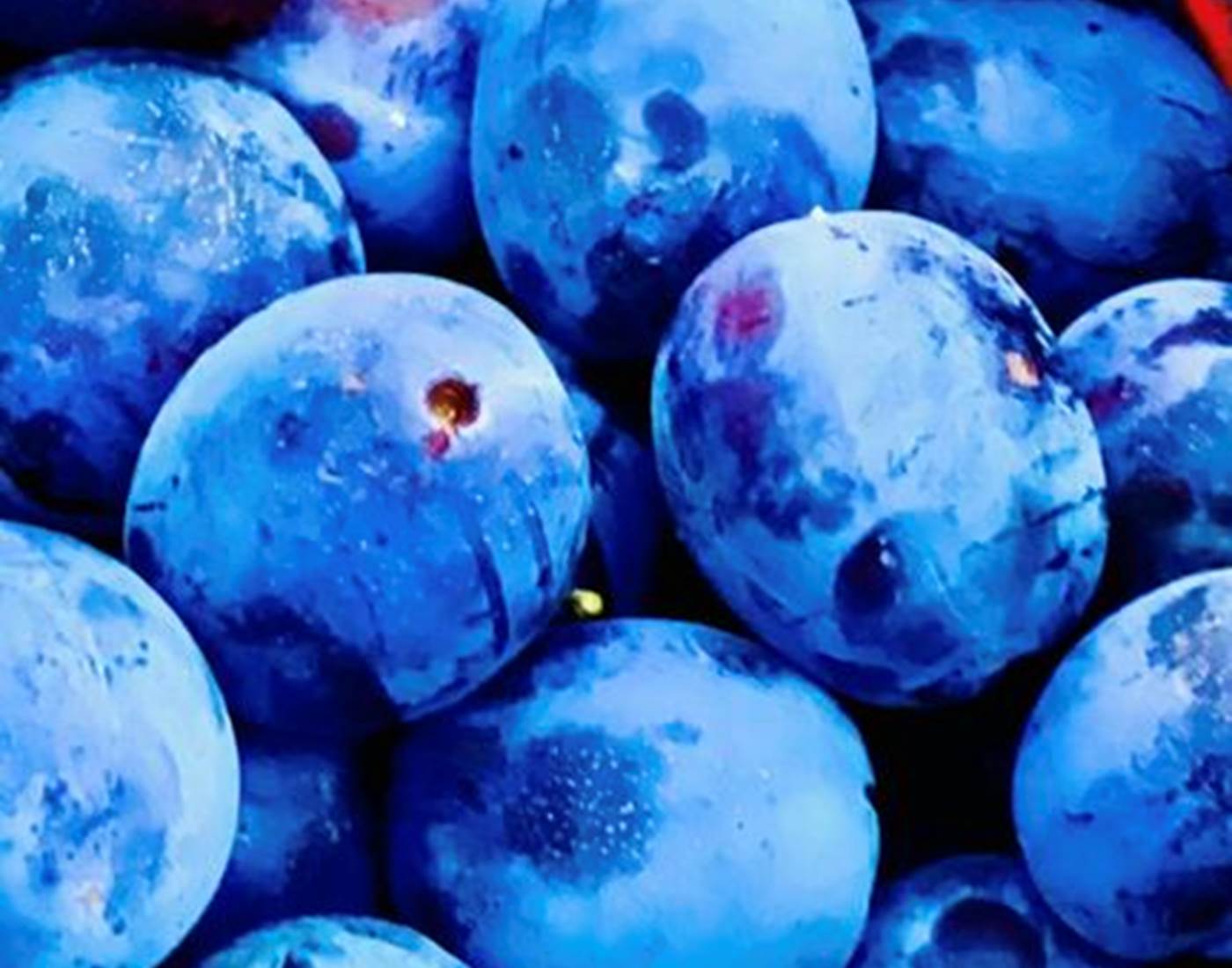 307440322_470093135134162_9011666869879947884_n