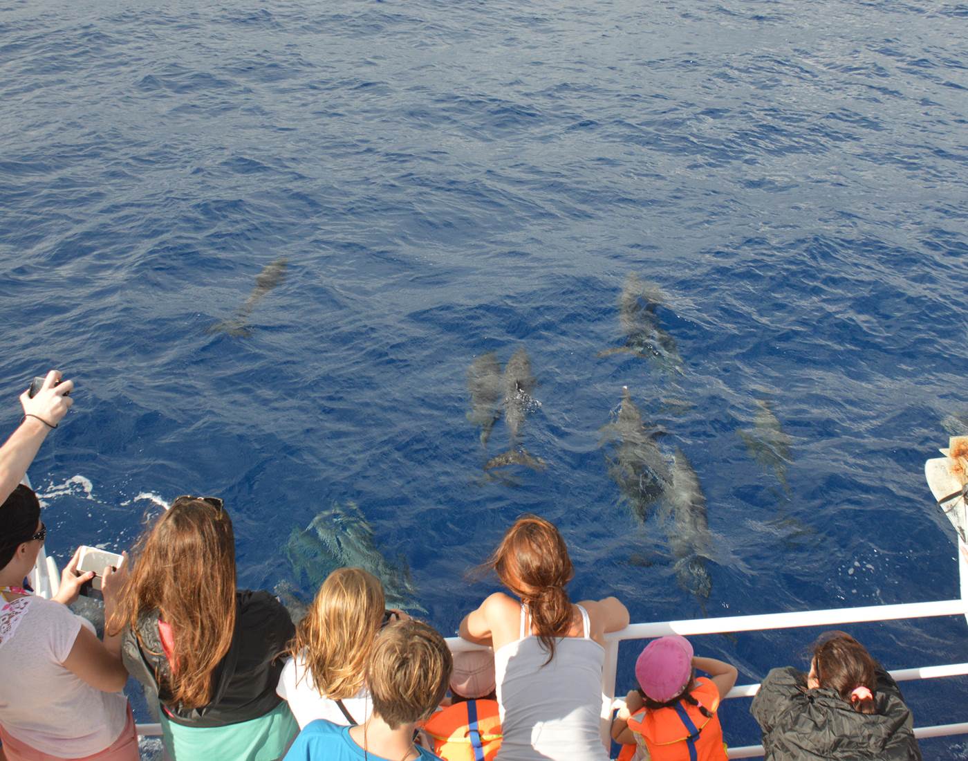 Découvrez notre île