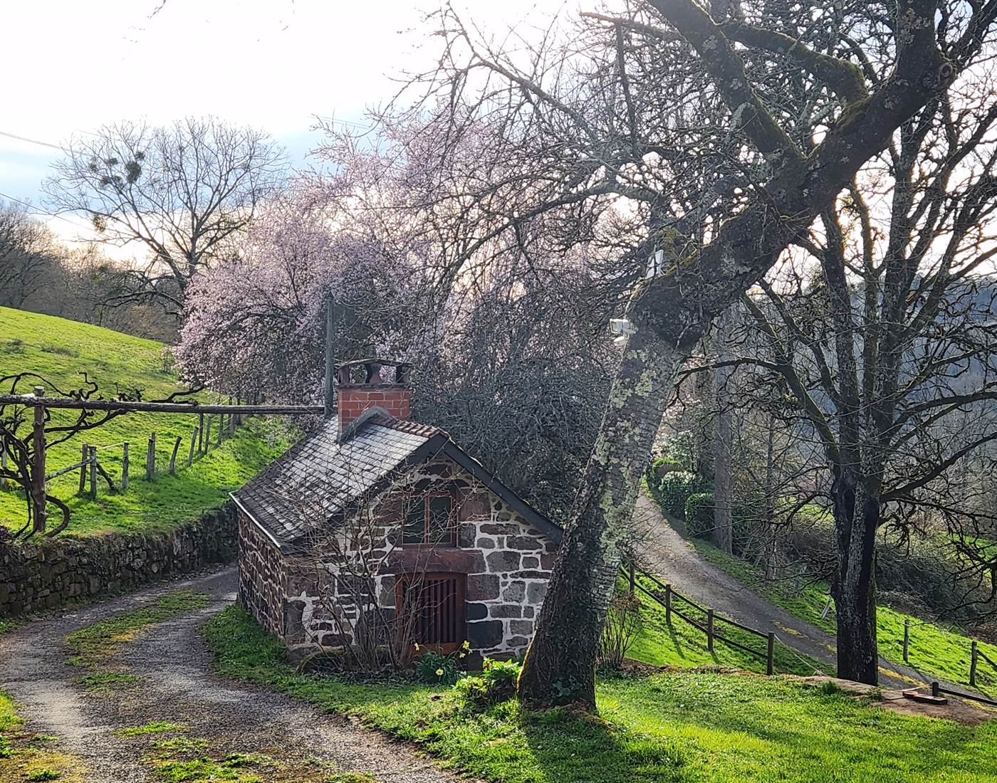 La Maison du Sabotier - Gite Corrèze-page