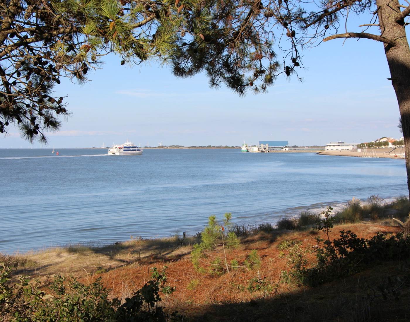 fromentine-labarredemonts (3)