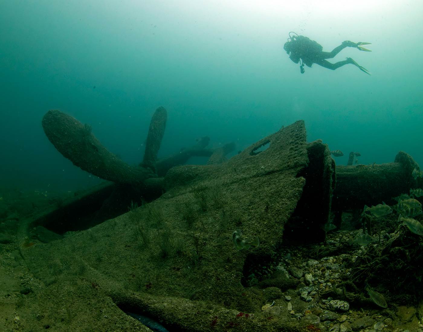 Plongée sous-marine - île d'Oléron