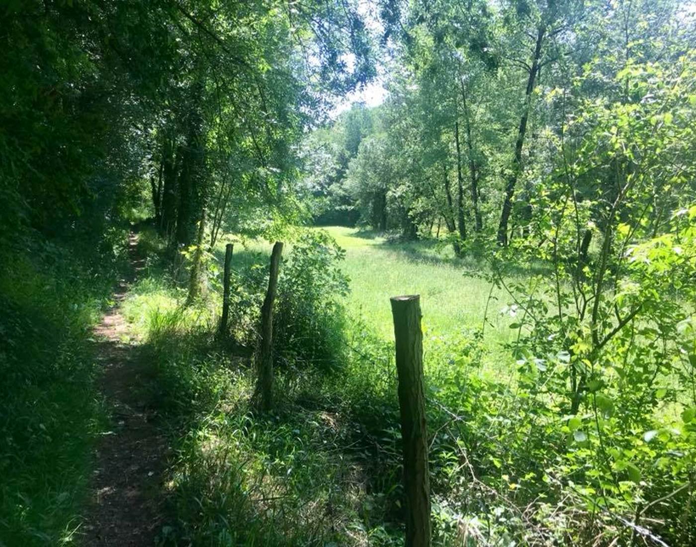 La nature verdoyante du Lot, Hôtel des Bains Figeac