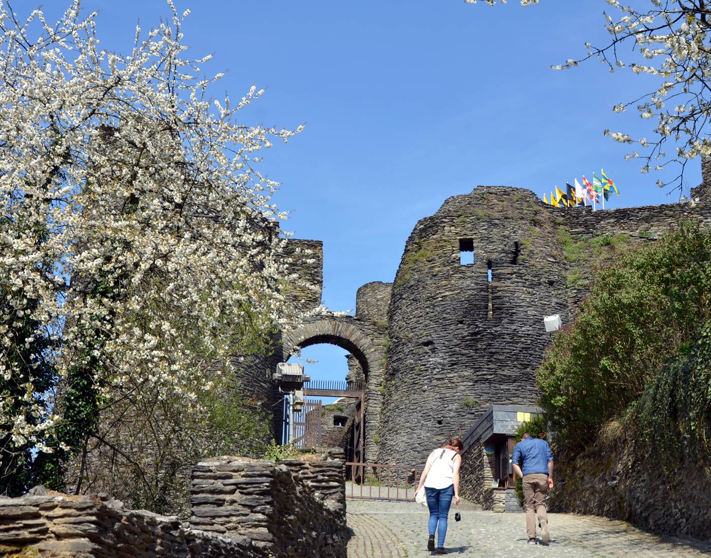 Château féodal de La Roche-en-Ardenne