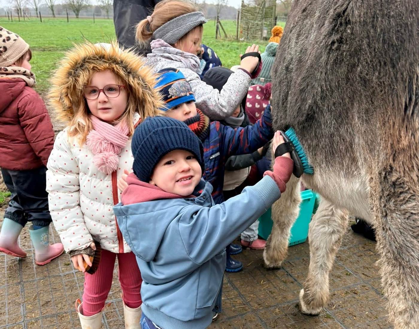 Des ânes à La Geonelle
