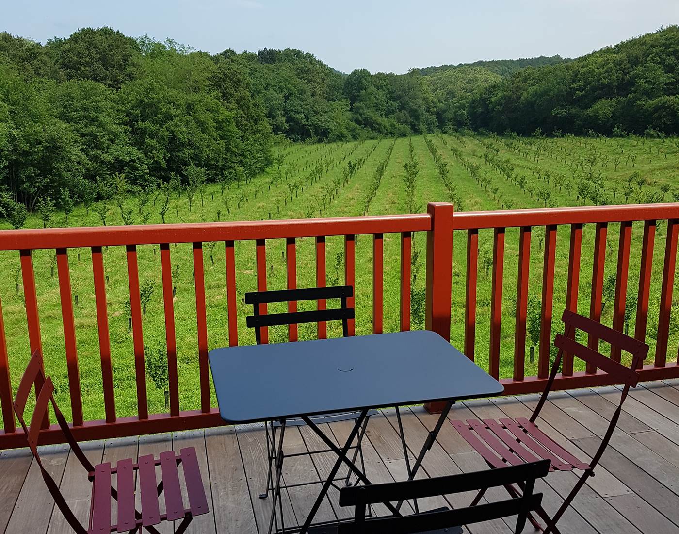 La terrasse panoramique