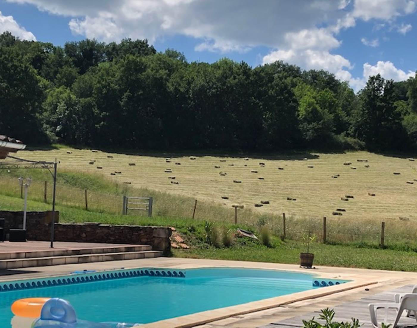 Vue sur les pâtures les pieds dans la piscine