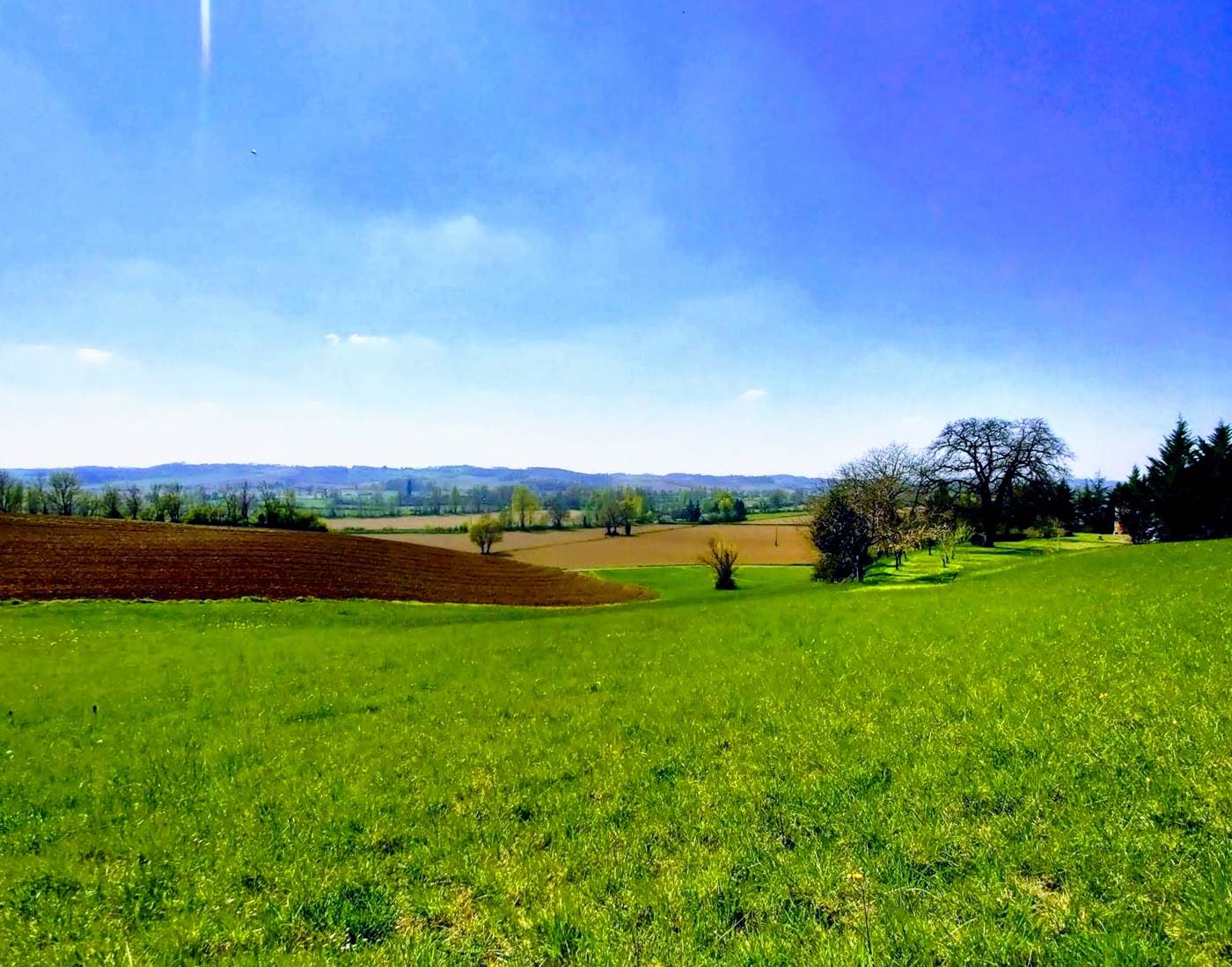 Campagne gersoise à la Cordillière