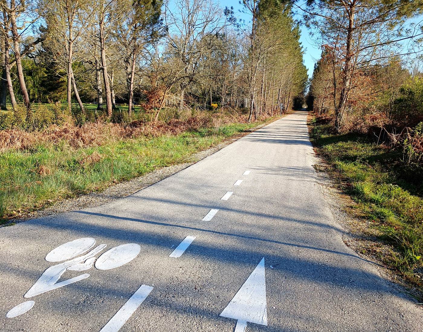 Gîtes, chambre d'hôtes et table d'hôtes gastronomique à Casteljaloux Lot et Garonne, piscine, jacuzzi et spa