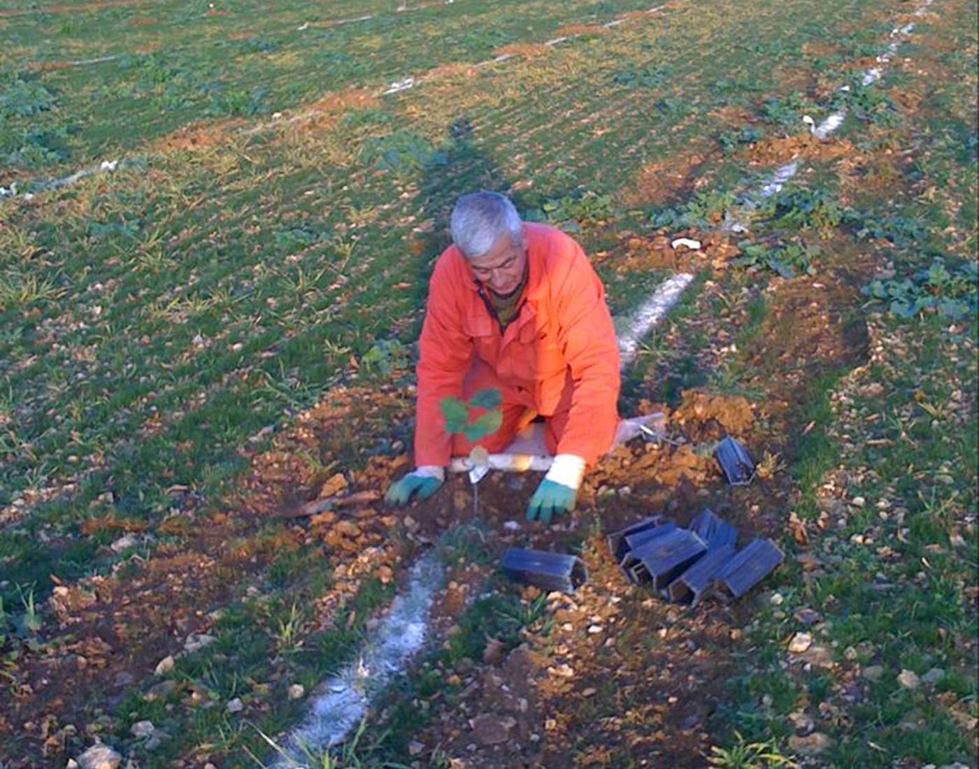 Philippe, plantation de la truffière